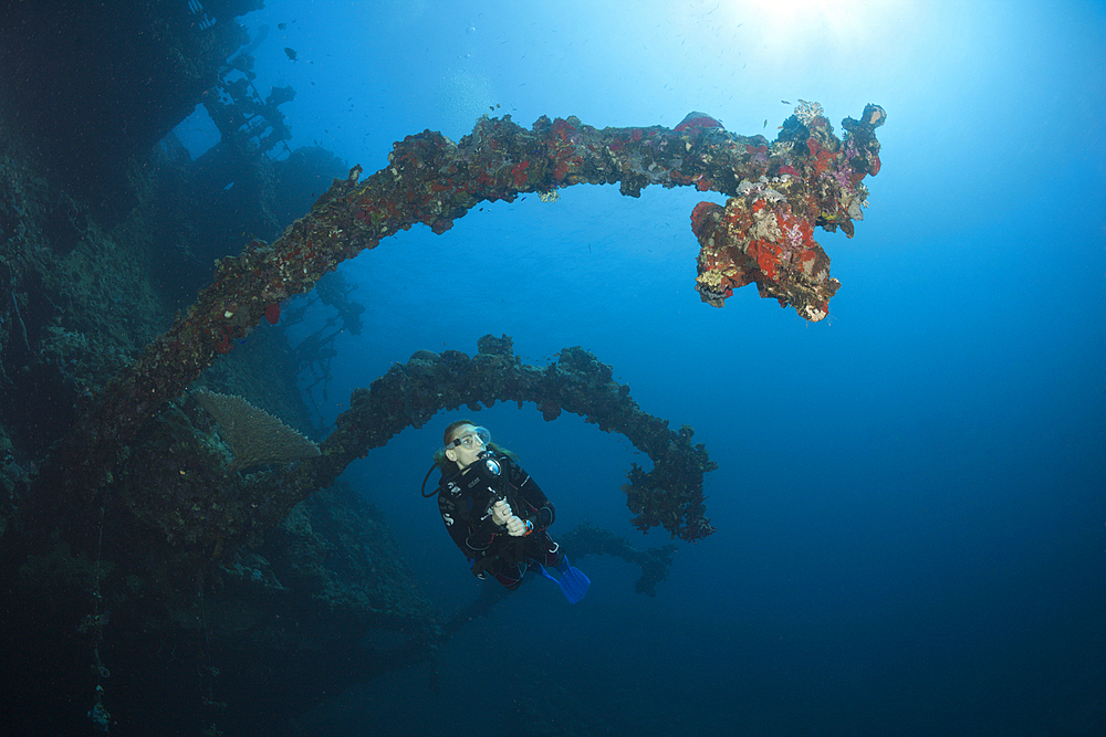 Scuba Diver at Umbria Wreck, Wingate Reef, Red Sea, Sudan