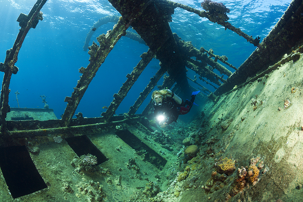 Scuba Diver at Umbria Wreck, Wingate Reef, Red Sea, Sudan