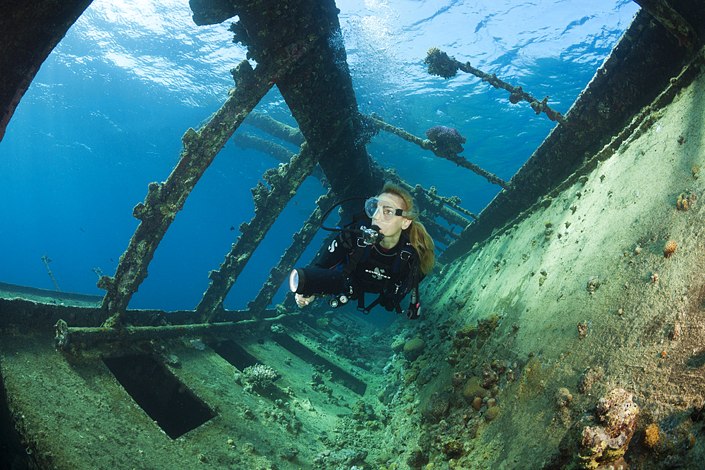 Scuba Diver at Umbria Wreck, Wingate Reef, Red Sea, Sudan