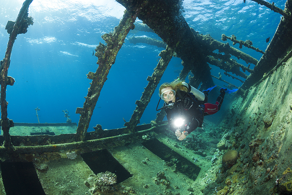 Scuba Diver at Umbria Wreck, Wingate Reef, Red Sea, Sudan