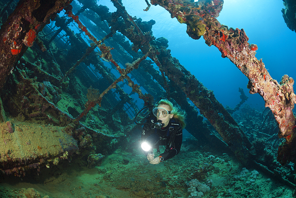 Scuba Diver at Umbria Wreck, Wingate Reef, Red Sea, Sudan