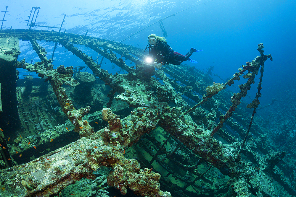 Scuba Diver at Umbria Wreck, Wingate Reef, Red Sea, Sudan