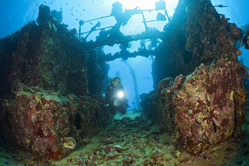 Scuba Diver at Umbria Wreck, Wingate Reef, Red Sea, Sudan