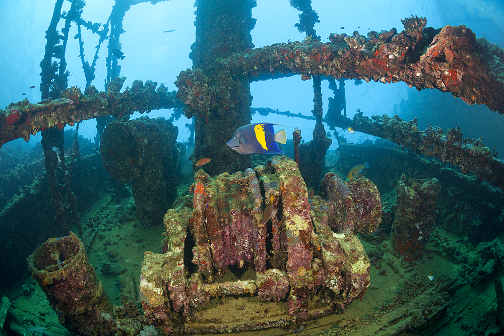 Winch of Umbria Wreck, Wingate Reef, Red Sea, Sudan