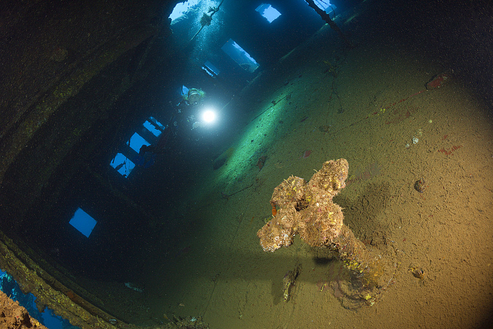 Scuba Diver inside Umbria Wreck, Wingate Reef, Red Sea, Sudan