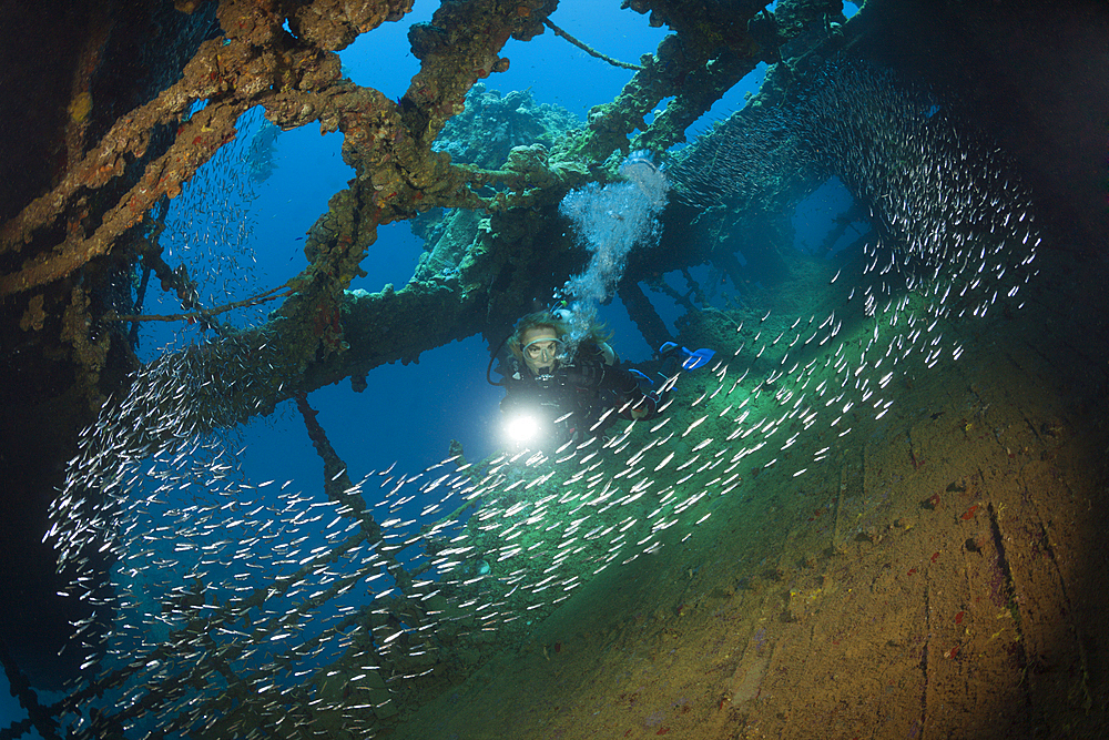 Scuba Diver at Umbria Wreck, Wingate Reef, Red Sea, Sudan