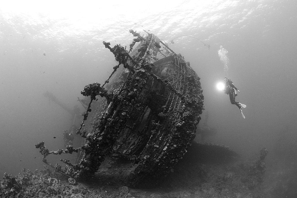 Scuba Diver at Umbria Wreck, Wingate Reef, Red Sea, Sudan