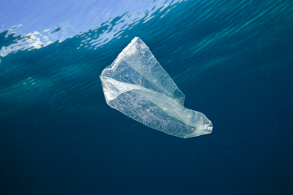 Plastic Bag adrift in Ocean, Indo Pacific, Indonesia