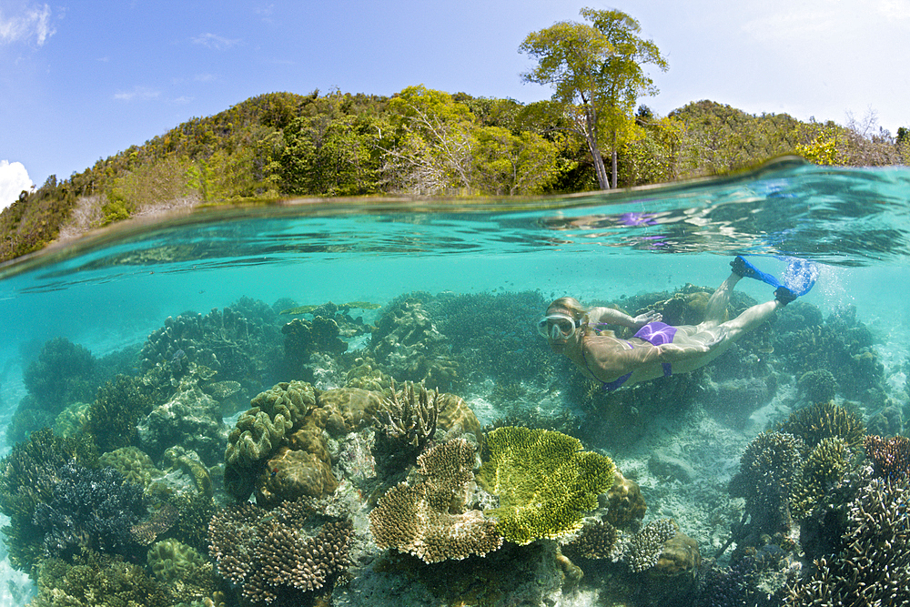 Corals in shallow Water, Raja Ampat, West Papua, Indonesia