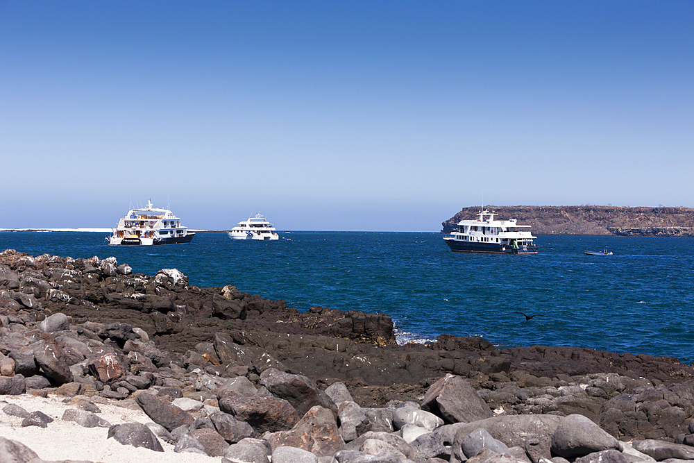 Diving Liveaboards, North Seymour, Galapagos, Ecuador