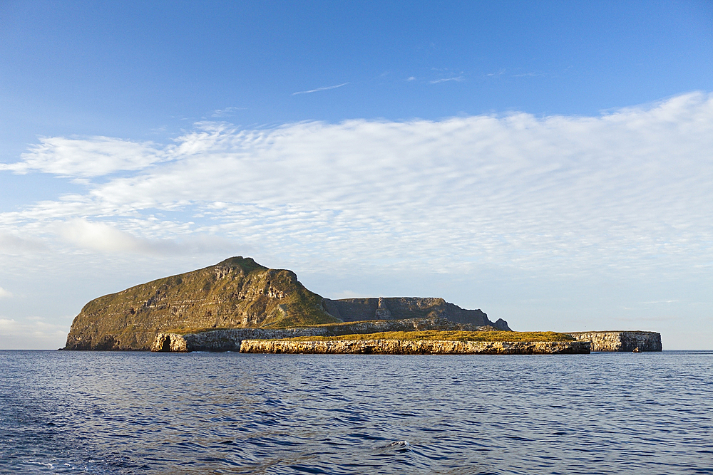 Wolf Island, Galapagos, Ecuador