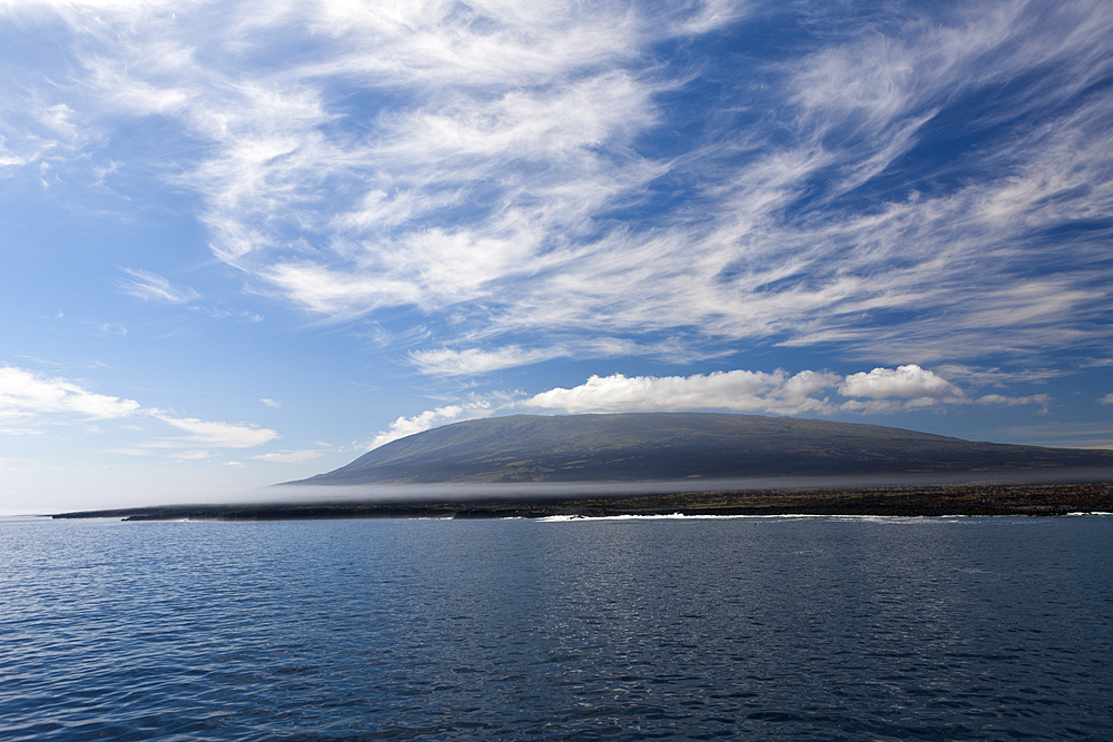 Fernandina Island, Galapagos, Ecuador