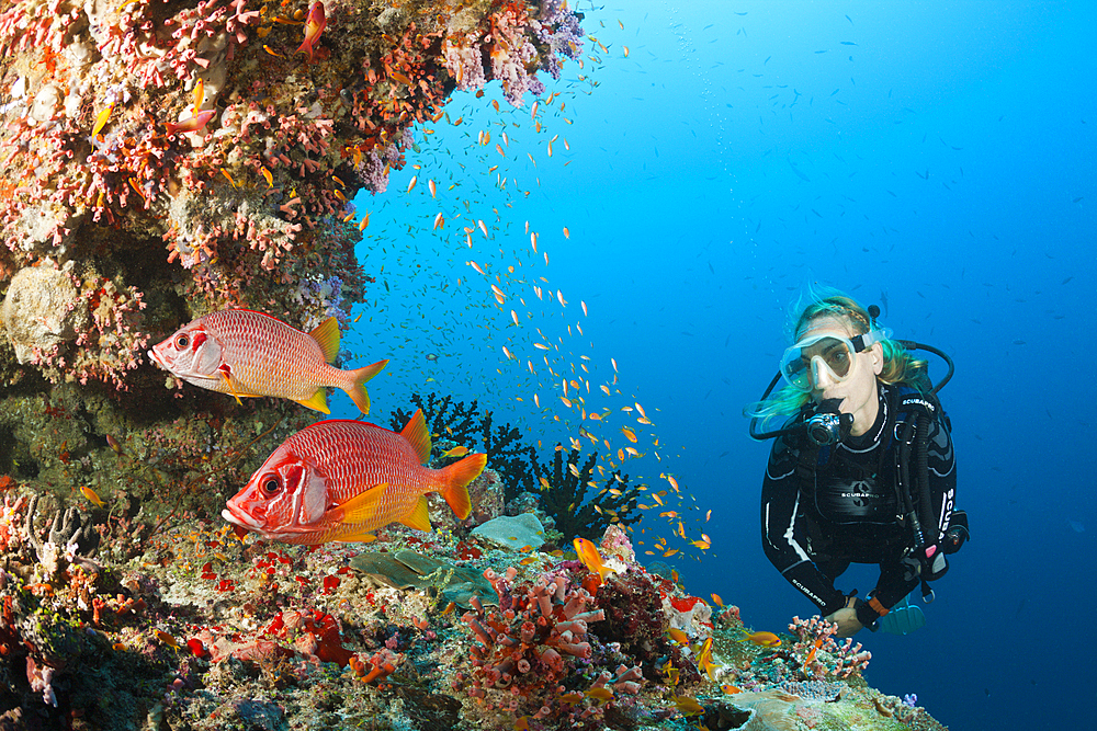 Scuba Diver on Coral Reef, Felidhu Atoll, Maldives