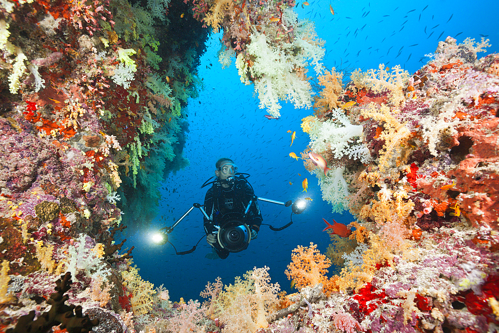 Scuba Diver on Coral Reef, Felidhu Atoll, Maldives