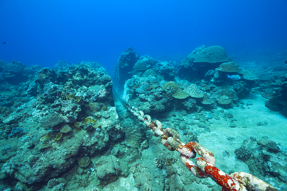 Chain of moored Buoy damages Reef, Christmas Island, Australia