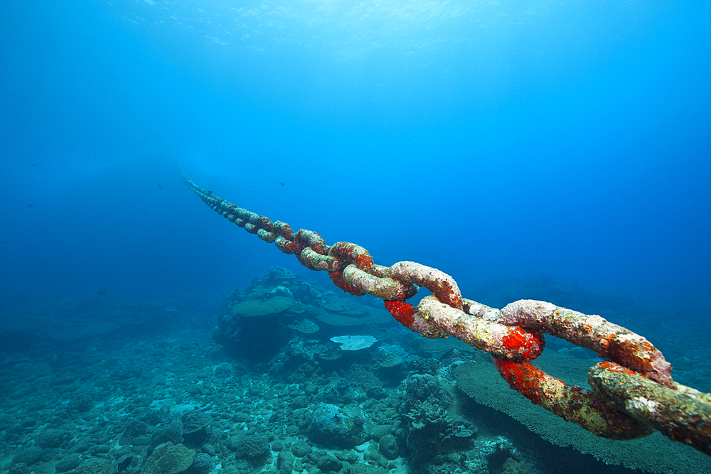 Chain of moored Buoy damages Reef, Christmas Island, Australia