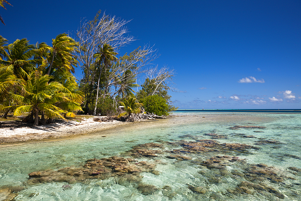 Lagoon of Tetamanu Village, Fakarava, Tuamotu Archipel, French Polynesia