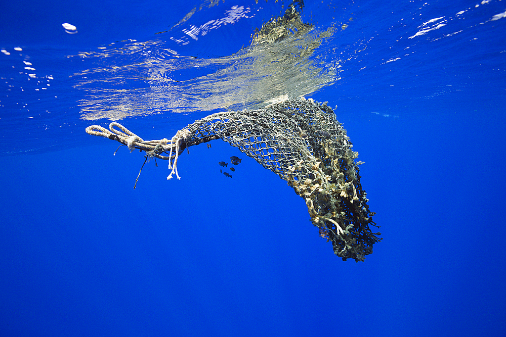 Lost fishing net floats in the sea, Moorea, French Polynesia