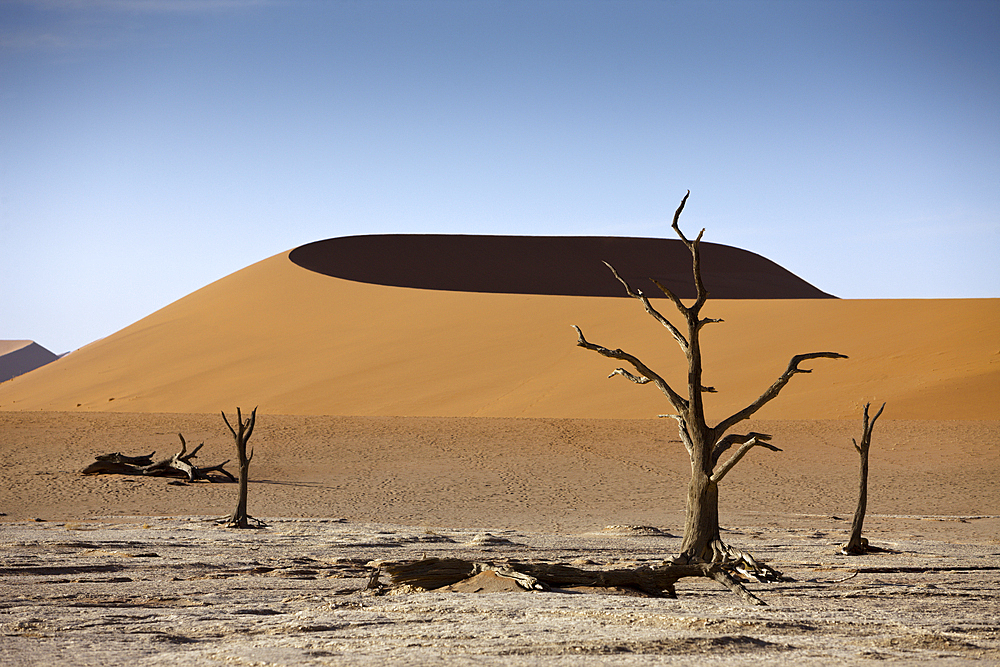 Big Mama Dune in Sossusvlei Area, Namib Naukluft Park, Namibia