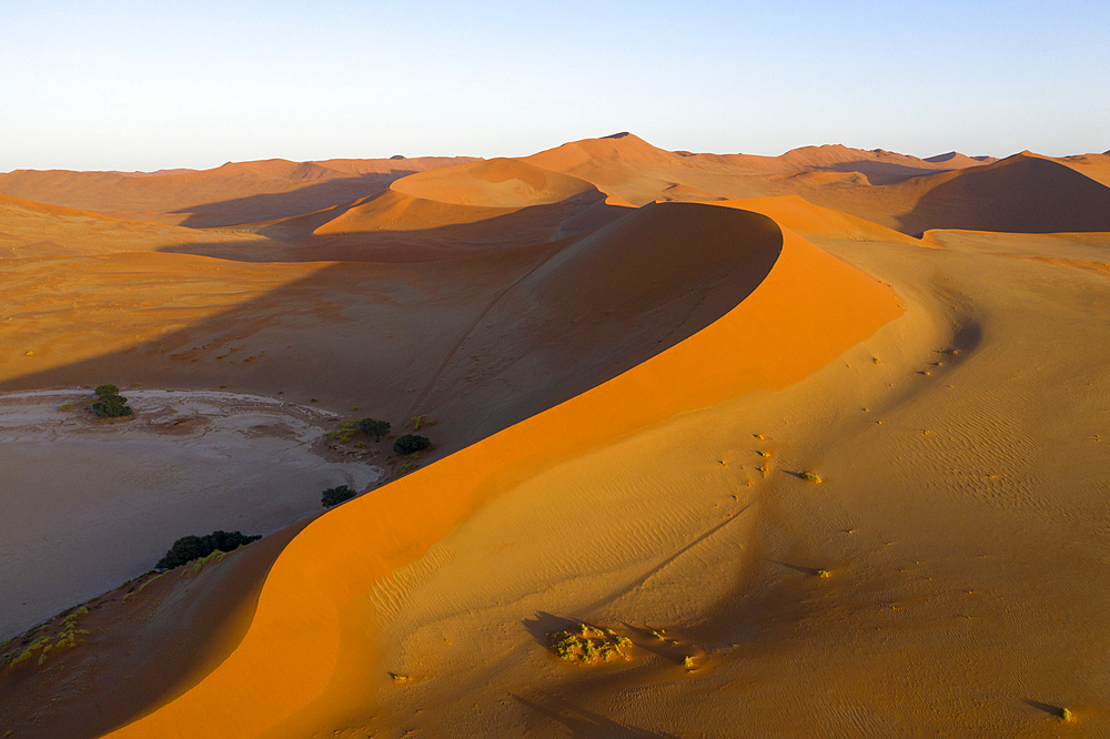 Big Mama Dune in Sossusvlei Area, Namib Naukluft Park, Namibia