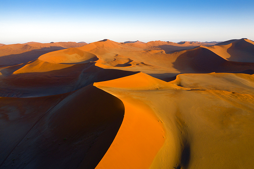 Big Mama Dune in Sossusvlei Area, Namib Naukluft Park, Namibia