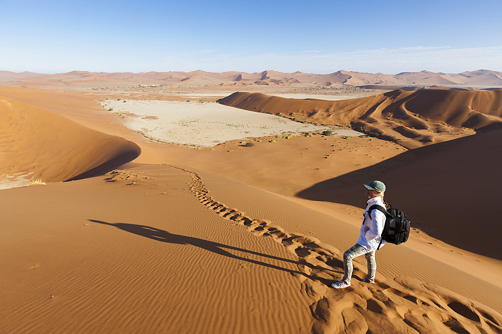 Big Daddy Dune at Deadvlei, Namib Naukluft Park, Namibia