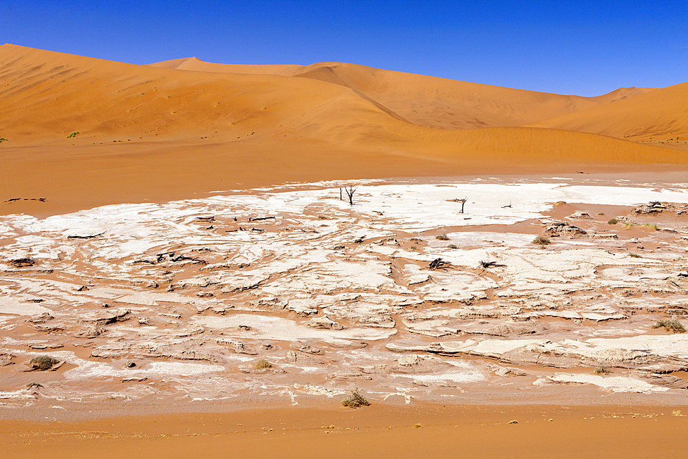 Impressions of Hiddenvlei, Namib Naukluft Park, Namibia