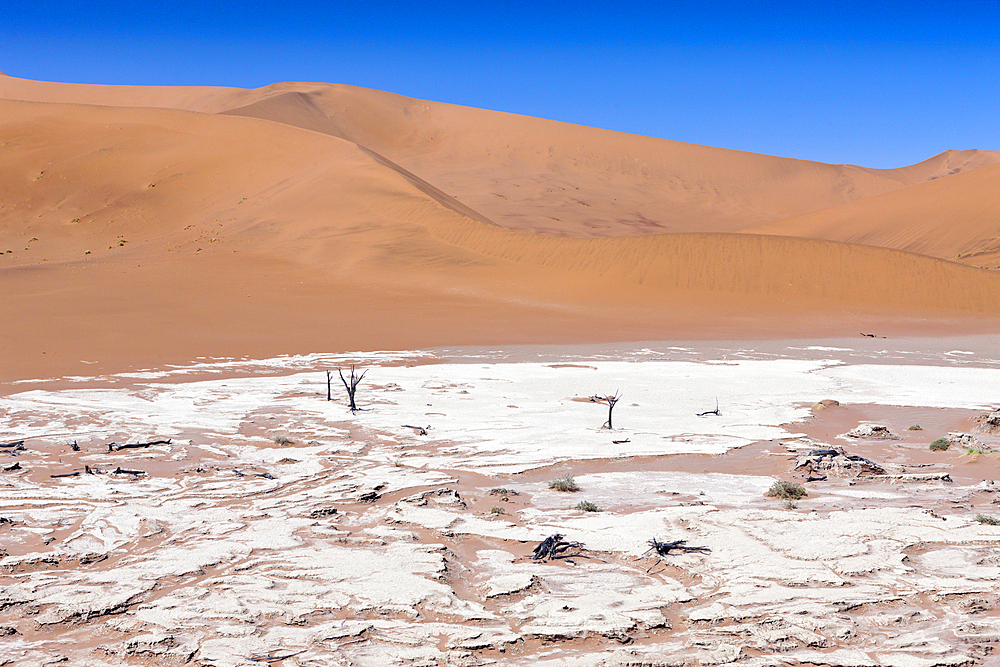 Impressions of Hiddenvlei, Namib Naukluft Park, Namibia