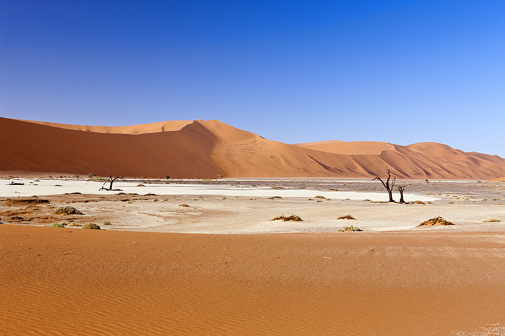 Impressions of Hiddenvlei, Namib Naukluft Park, Namibia