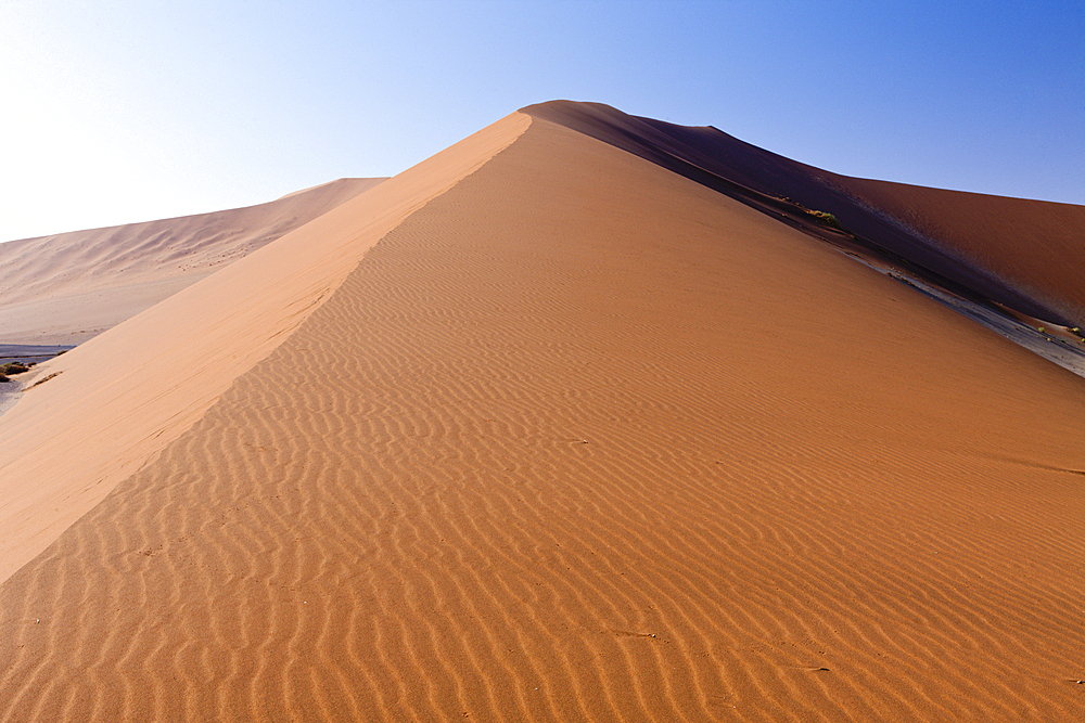 Sanddune at Hiddenvlei, Namib Naukluft Park, Namibia