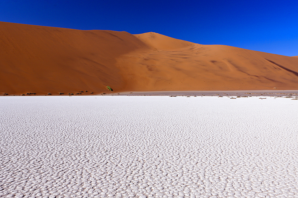 Impressions of Hiddenvlei, Namib Naukluft Park, Namibia