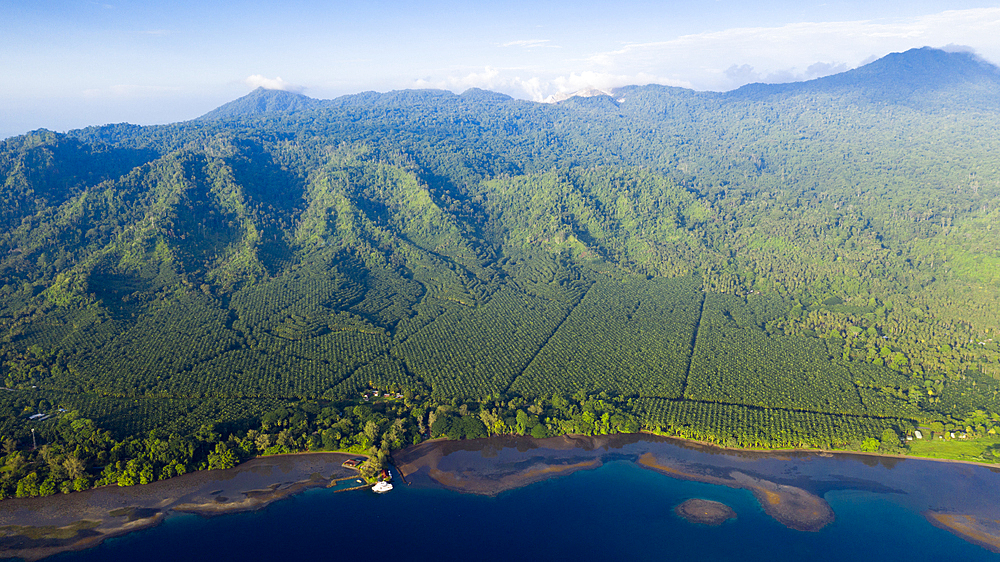 Walindi Plantation Resort, Kimbe Bay, New Britain, Papua New Guinea