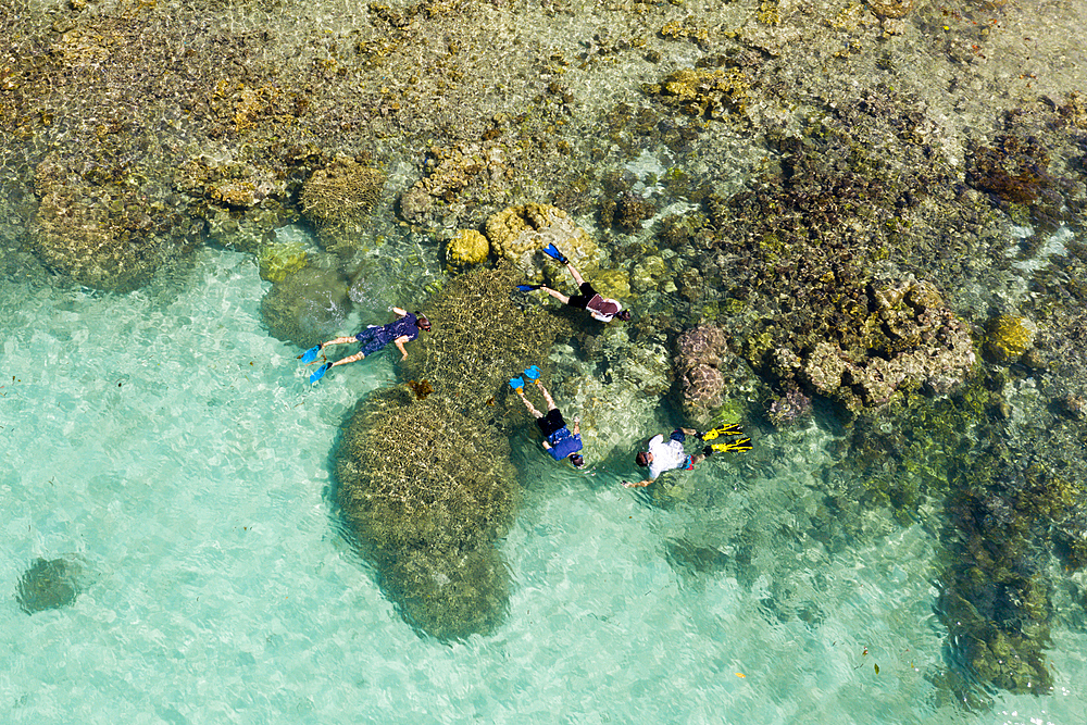 Snorkeling at House Reef of Lissenung, New Ireland, Papua New Guinea