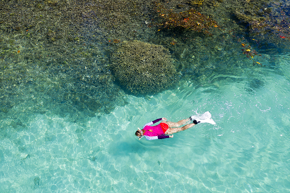 Snorkeling at House Reef of Lissenung, New Ireland, Papua New Guinea