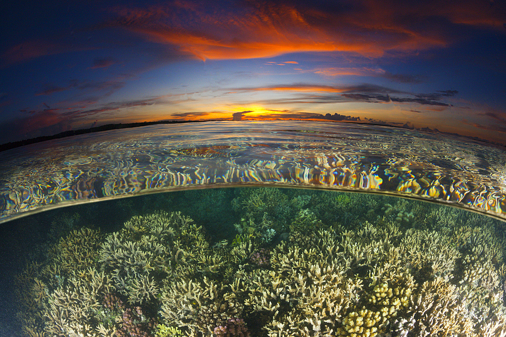 Coral Reef at Sunset, New Ireland, Papua New Guinea