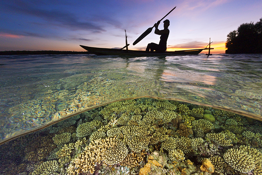 Coral Reef at Sunset, New Ireland, Papua New Guinea