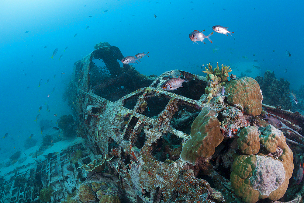 Japanese Kate Bomber Wreck Nakajima B5N, New Ireland, Papua New Guinea