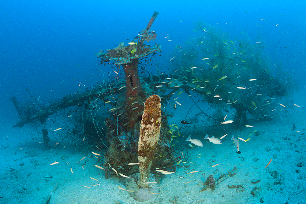 Mitsubishi F1M Pete Float plane Wreck, New Ireland, Papua New Guinea