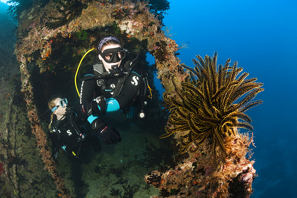 Scuba Diver explore Stern of Maldive Victory Wreck, Hulhule, North Male Atoll, Maldives