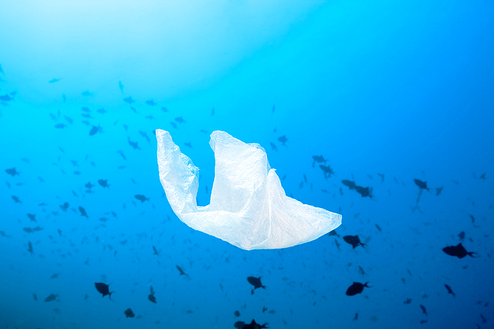 Plastic bag floating over Reef, North Male Atoll, Indian Ocean, Maldives