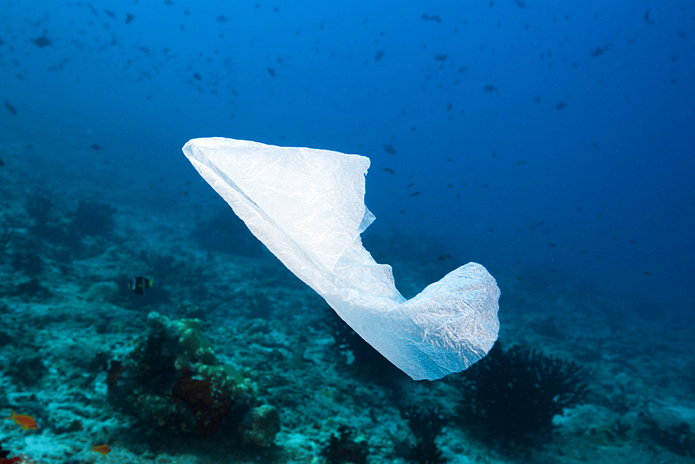 Plastic bag floating over Reef, North Male Atoll, Indian Ocean, Maldives