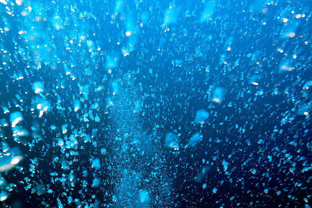 Rising air bubbles, Felidhu Atoll, Indian Ocean, Maldives