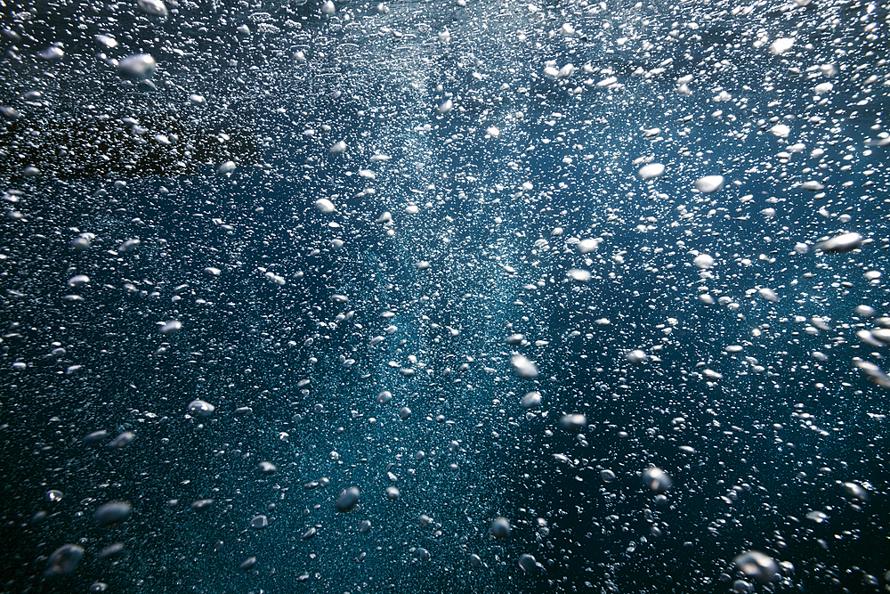 Rising air bubbles, Vis Island, Mediterranean Sea, Croatia