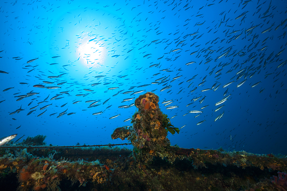 Wreck Vassilios T, Vis Island, Mediterranean Sea, Croatia