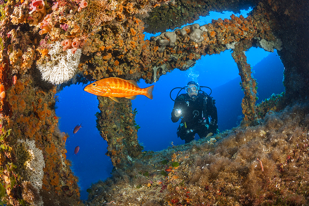 Scuba Diver at Vassilios Wreck, Vis Island, Mediterranean Sea, Croatia