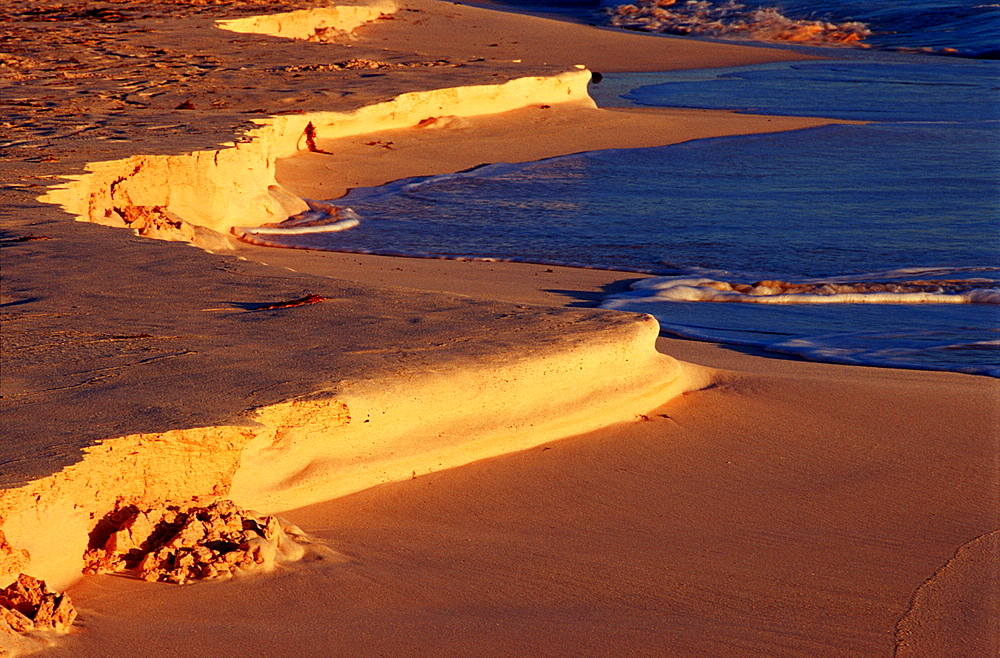 Dust on the sand beach, Bahamas, Caribbean Sea, Grand Bahama