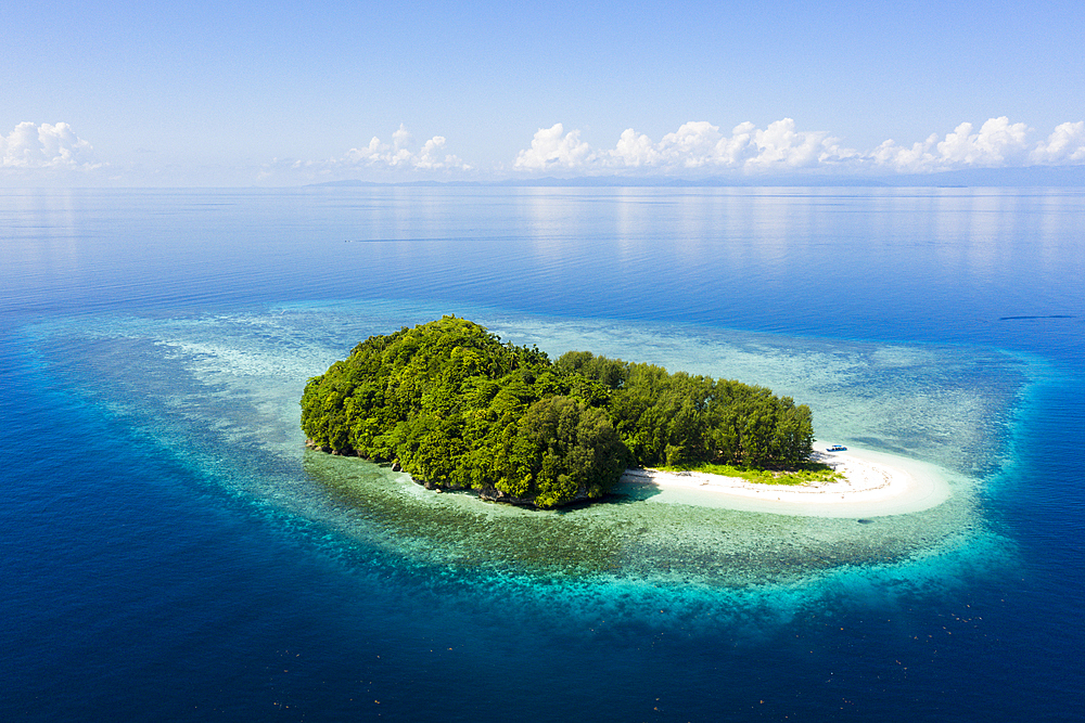 Tropical island at Dampier Strait, Raja Ampat, West Papua, Indonesia