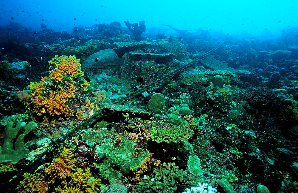 chain cable destroys coral reef, Papua New Guinea, Pacific Ocean