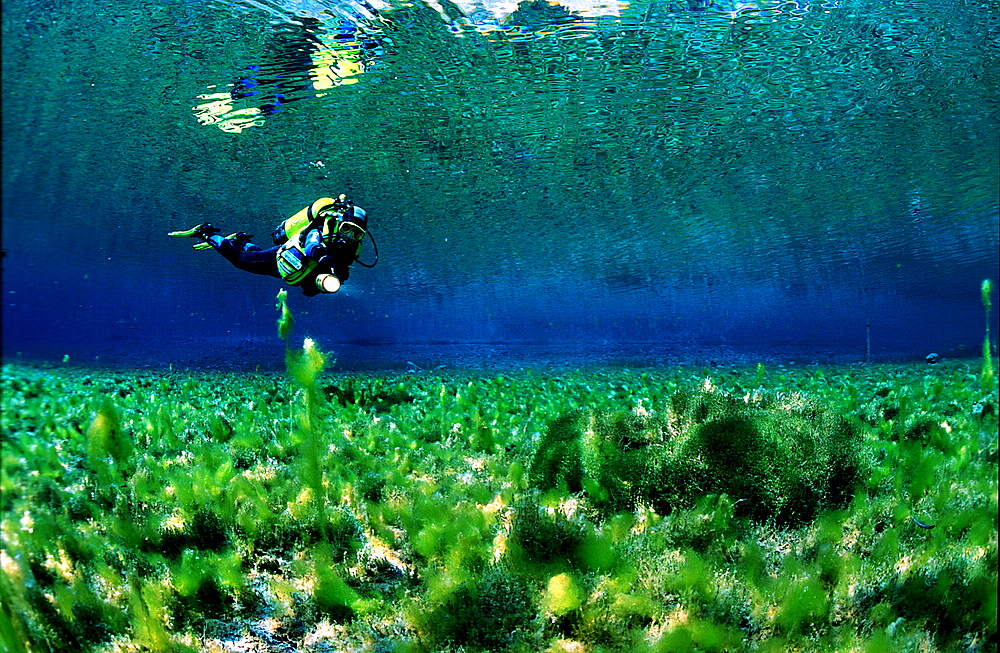 Scuba diver in mountain lake, Austria, Tirol
