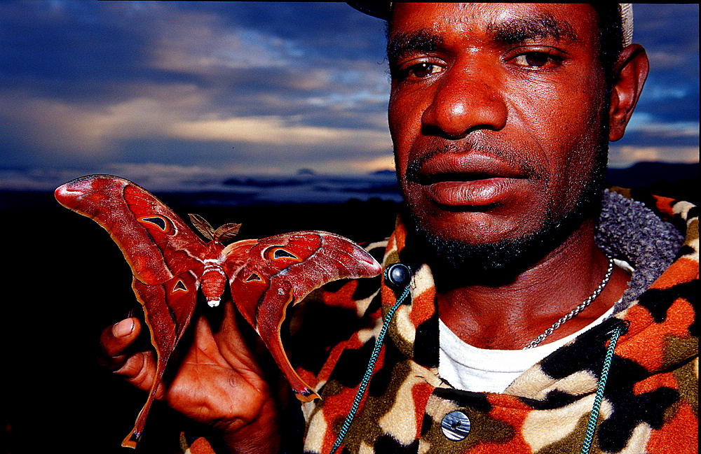 Huli guide with butterfly, Papua New Guinea, Tari, Huli, Highlands